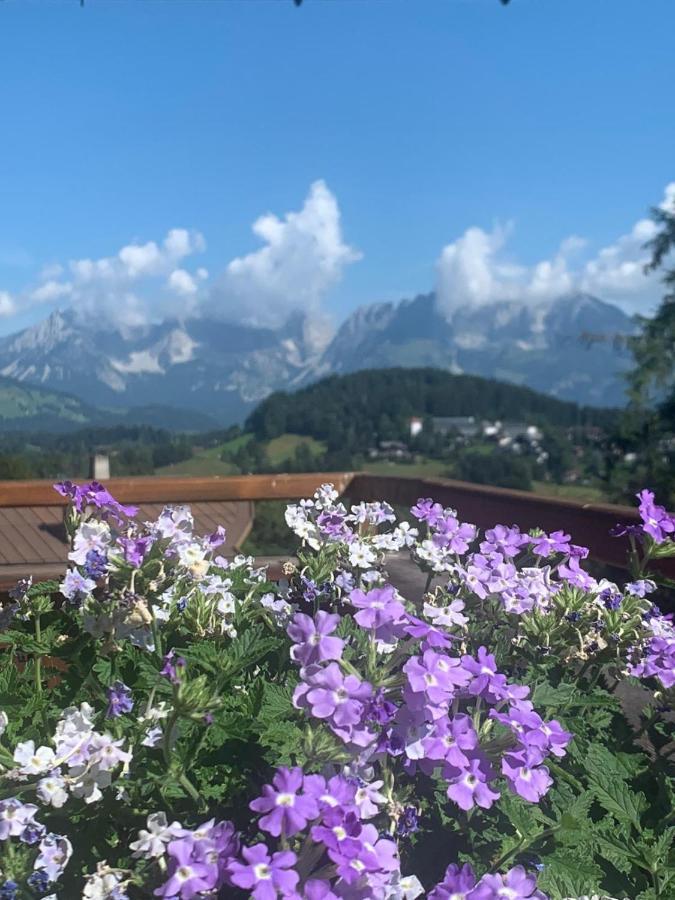 Pension Hinterseer Kitzbuhel Exterior photo